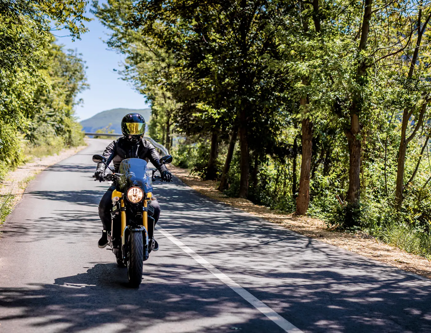 Motorcycle Header Leaf Image