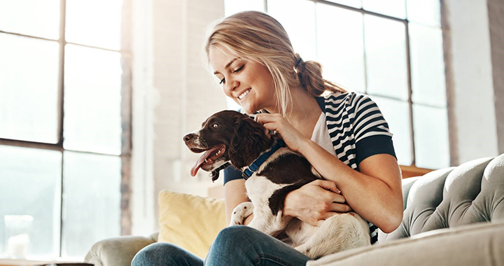 Pet Insurance Tales