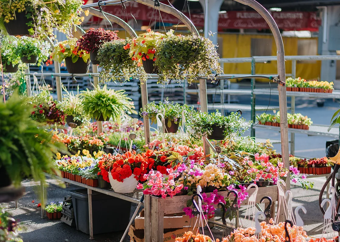 Farm Markets