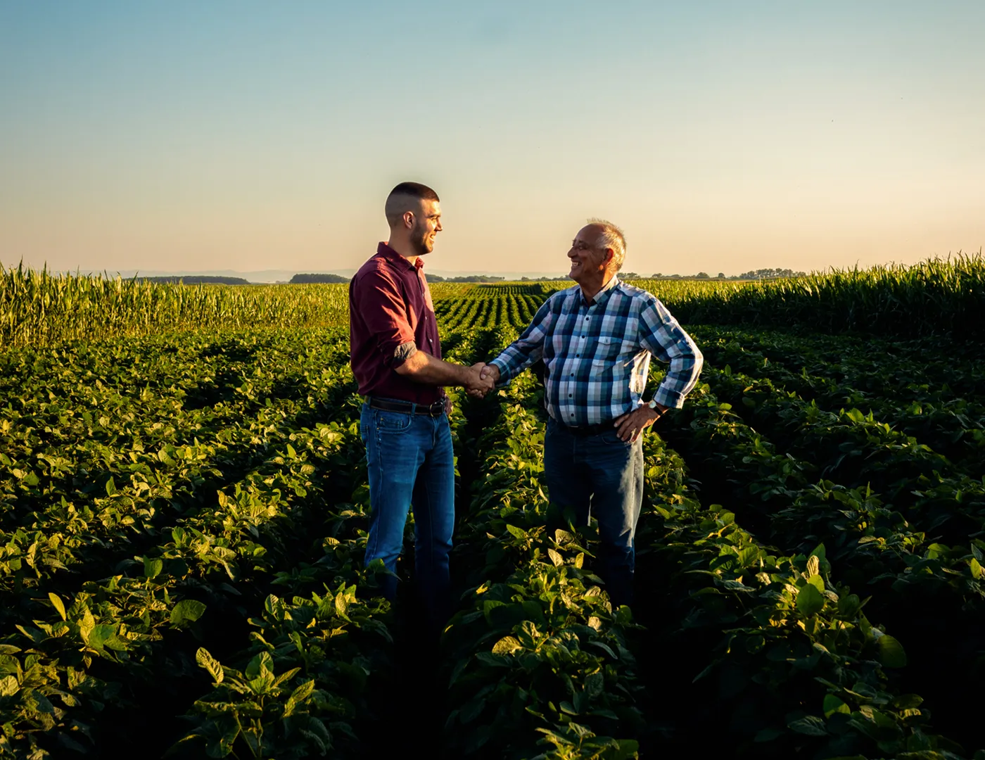 Crop Header Leaf Image