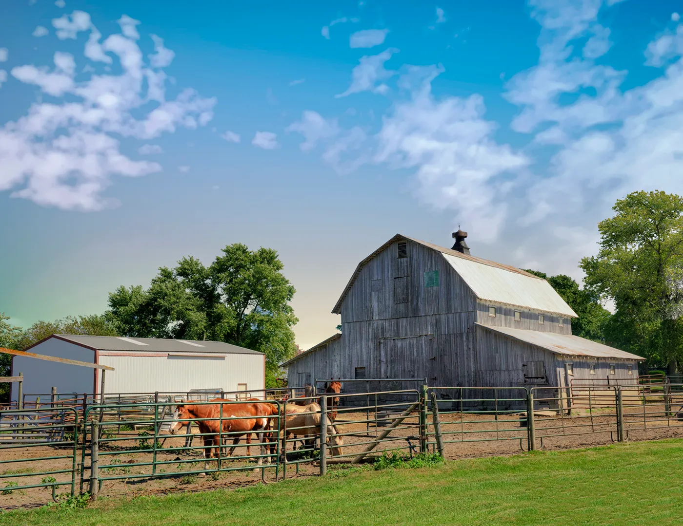 Farm Header Leaf Image