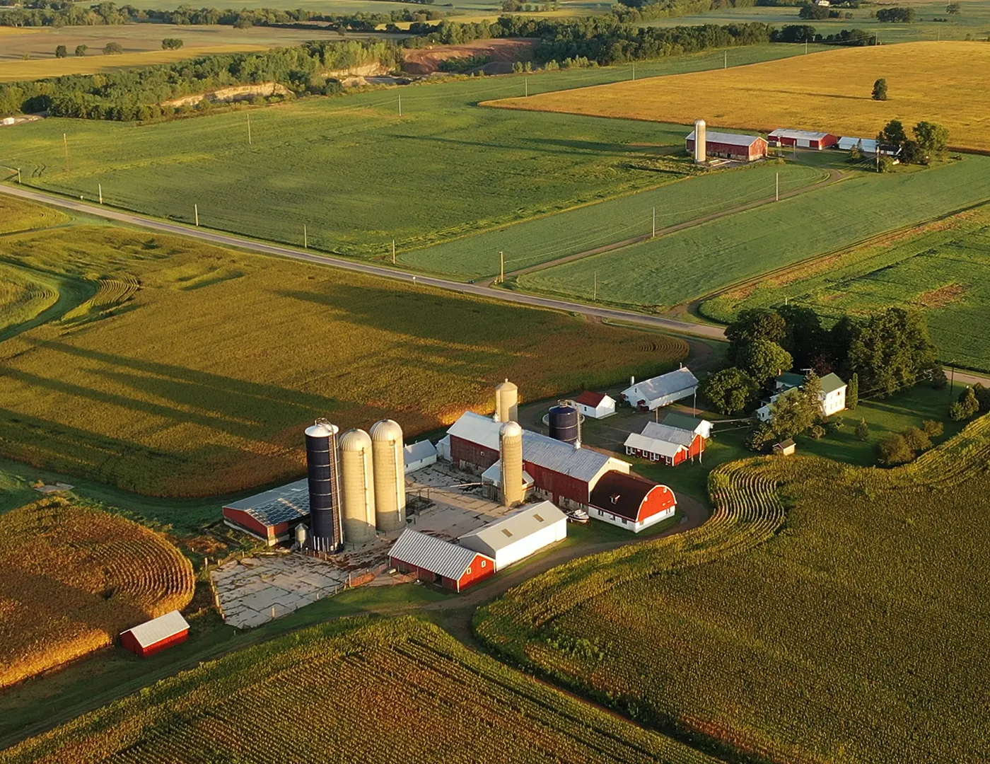 Farm Blanket Header Leaf Image