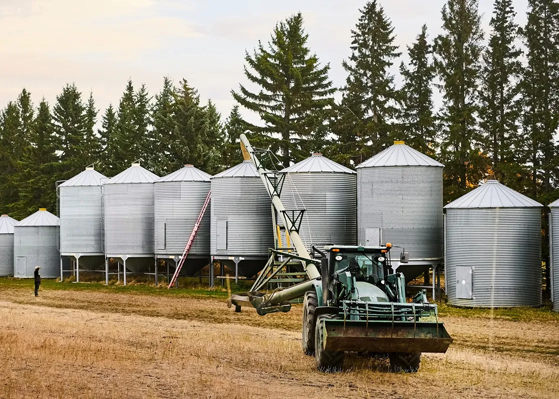 Grain and Feed
