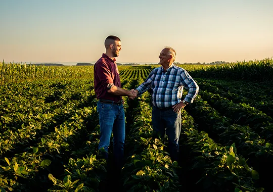 Crop Insurance