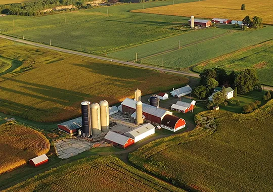Farm Blanket Policy