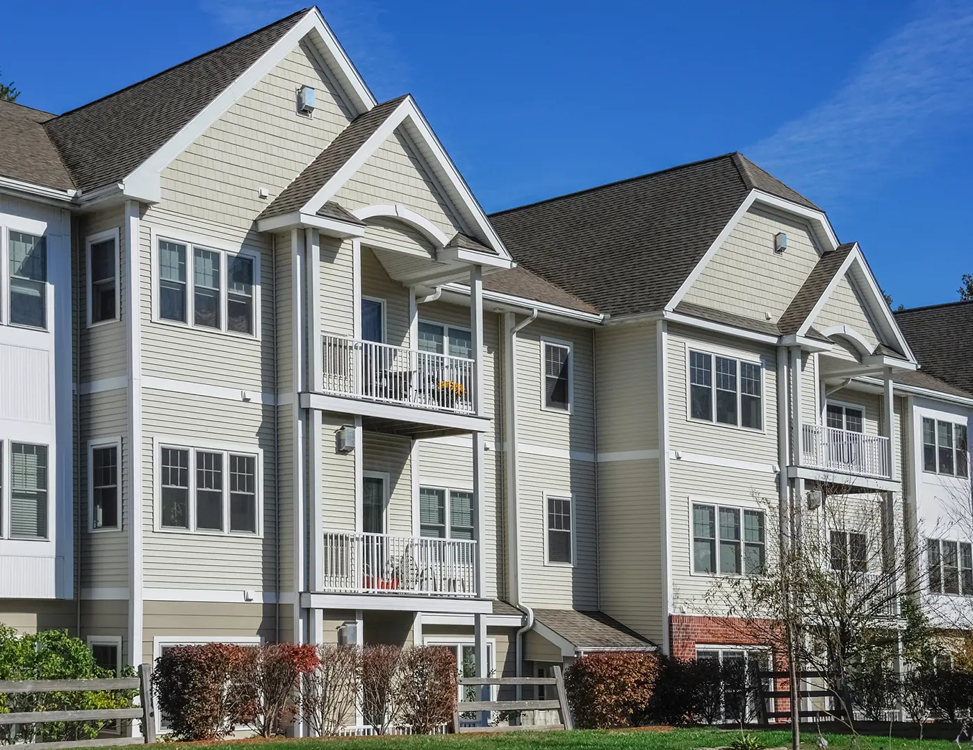 Condo Header Leaf Image