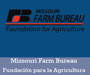 Foundation for Agriculture